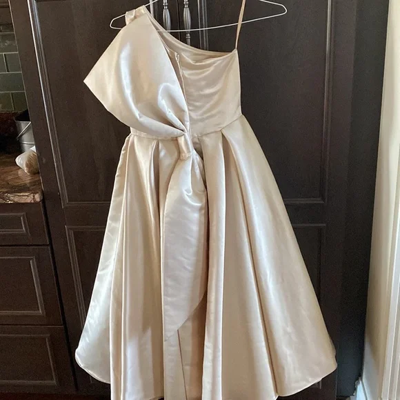 Amalee accessories size 10 dress in champagne